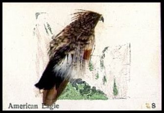 8 American Eagle